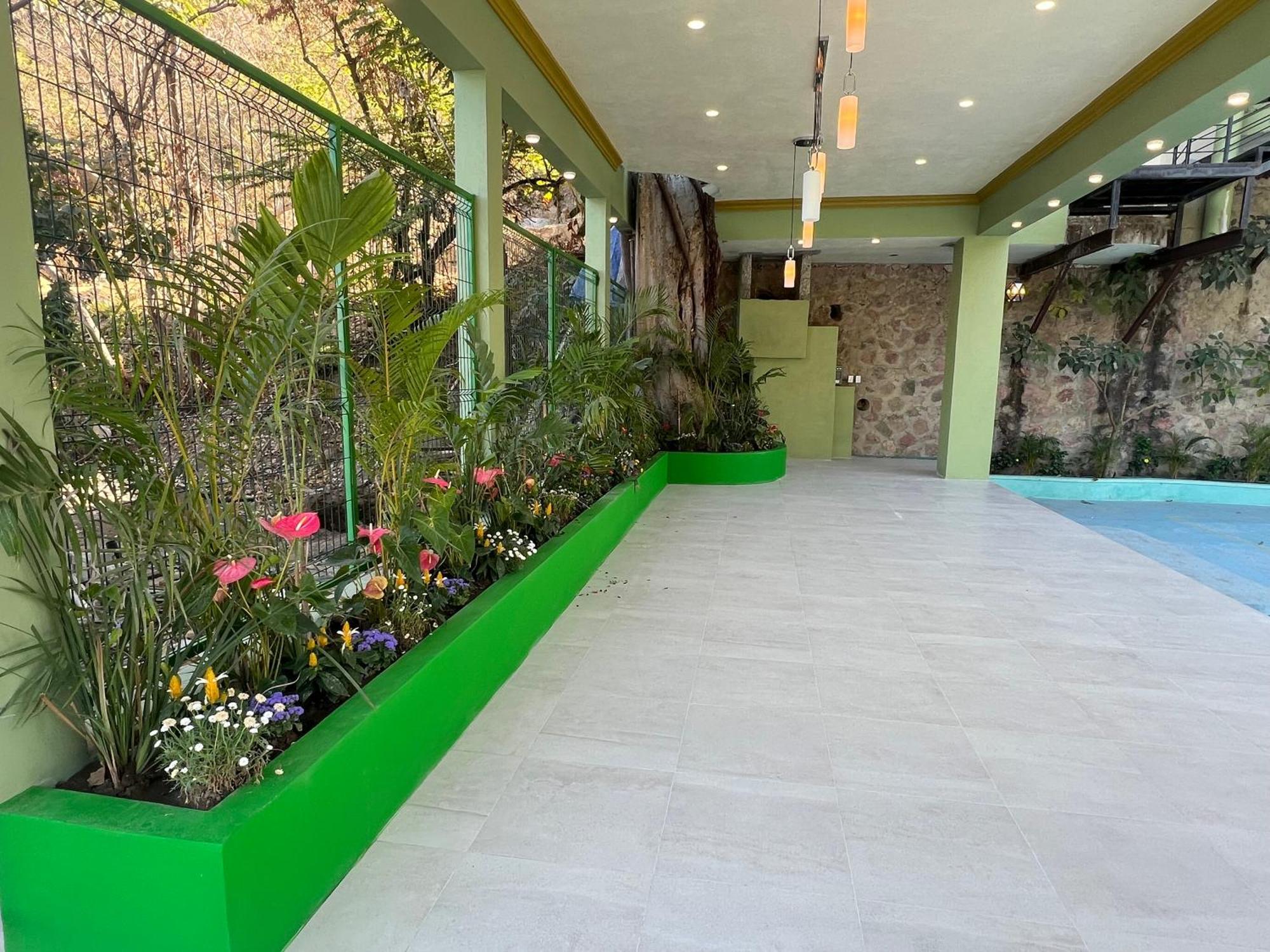 South Shore Villa Armonia Luxury Boutique Puerto Vallarta Extérieur photo